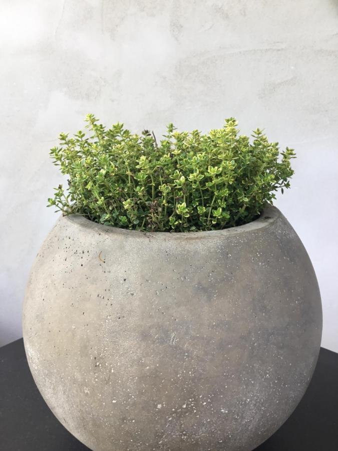 Ferienwohnung Baldauf 里登堡 外观 照片